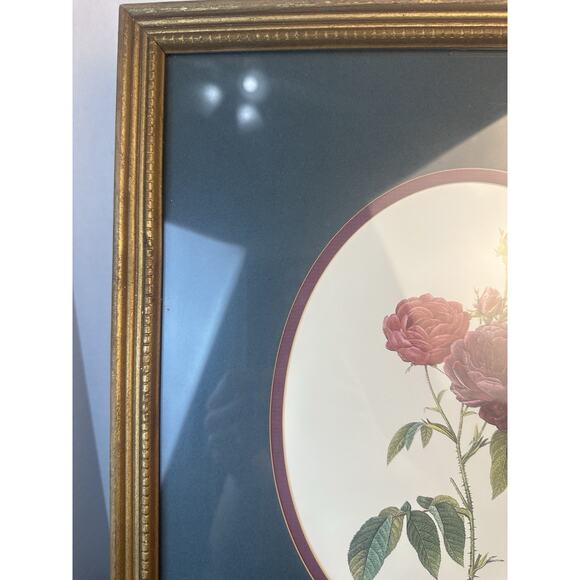 Botanical Framed Picture Classic Decor 13x15 Antique Gold Frame - Picture 2 of 9